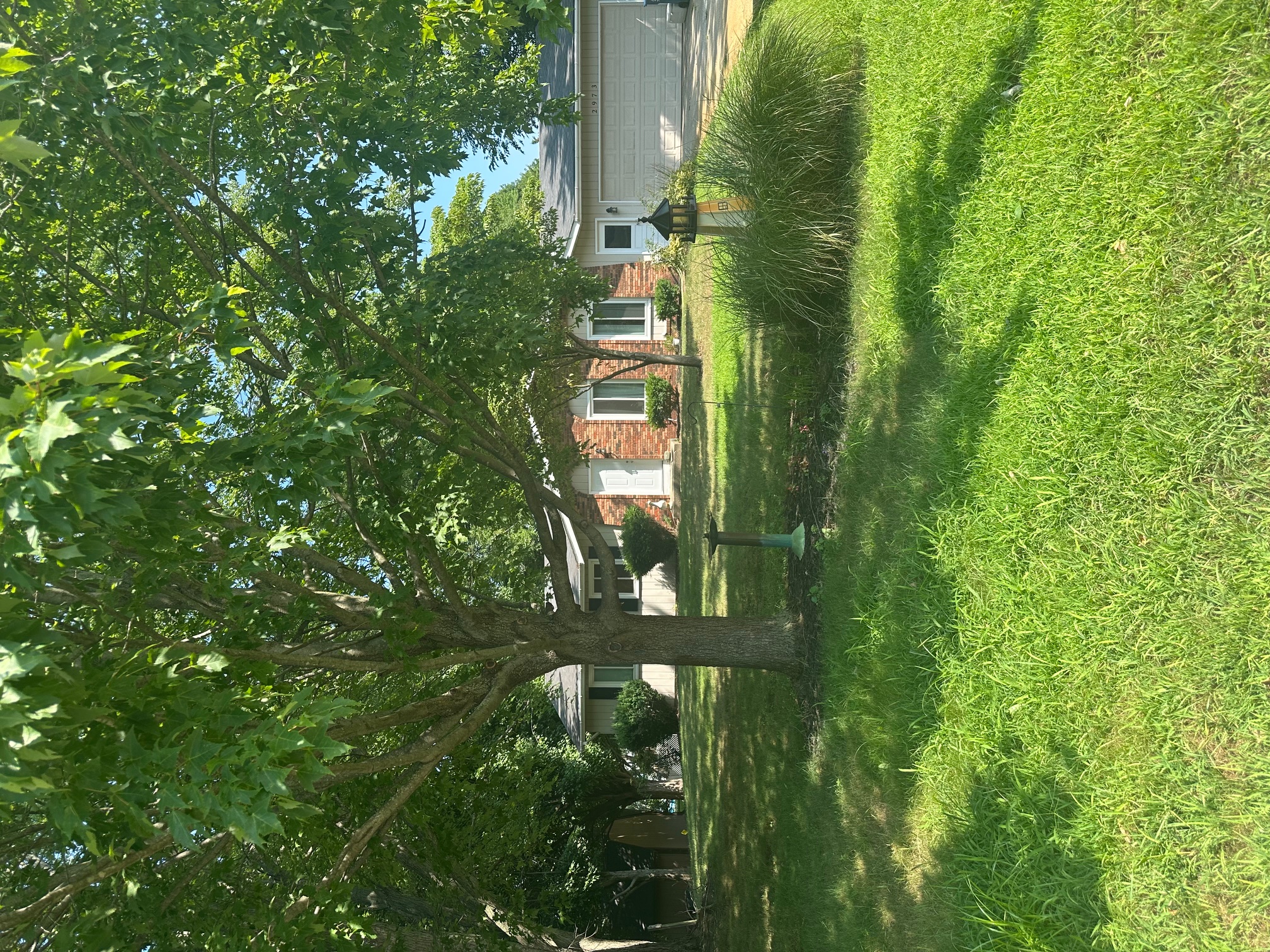 2973 Memorial Drive